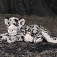 Animigos World Of Nature Snow Leopard