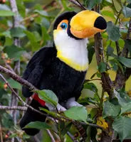 Animigos World Of Nature Toucan