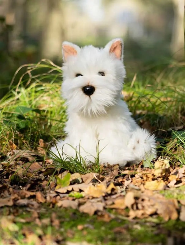 animigos-world-of-nature-westie-dog