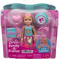 Barbie Chelsea Birthday Doll & Accessories