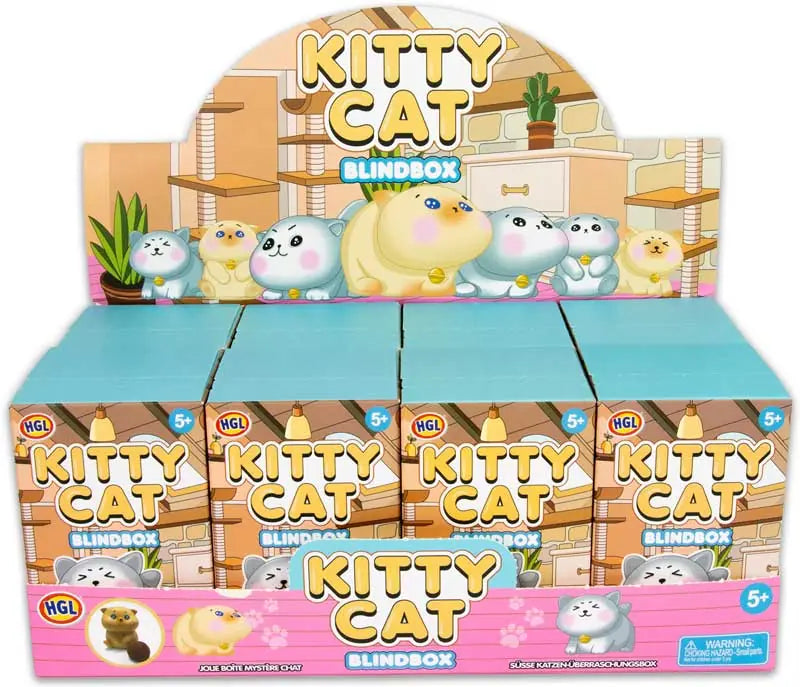 Blind Box Cat Assorted