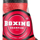 Boxing Champion