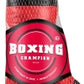 Boxing Champion