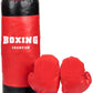 boxing-champion