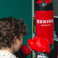 boxing-champion