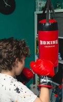Boxing Champion