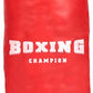 boxing-champion