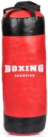 Boxing Champion