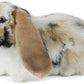 Brown Dutch Lop Eared Rabbit Plush Stuffed Animal Toy