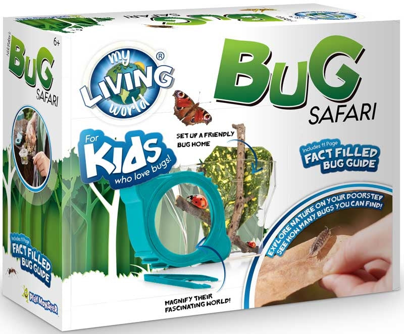 Bug Safari