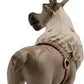 Bullyland - Disney Frozen 2 Sven 13514