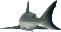 Bullyland - Great White Shark 67410