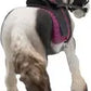 Bullyland - Gypsy Mare 62759