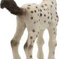 Bullyland - Knabstrupper Foal 62673