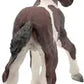 Bullyland - Paint Horse Foal 62678