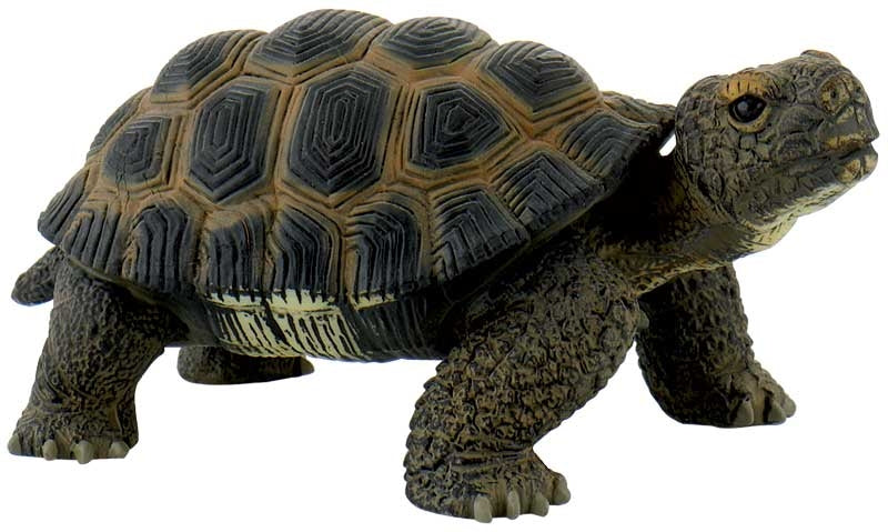 Bullyland - Tortoise 63553