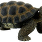Bullyland - Tortoise 63553