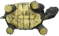 Bullyland - Tortoise 63553