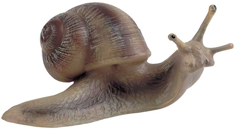 Bullyland - Vineyard Snail 64375