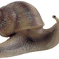 Bullyland - Vineyard Snail 64375