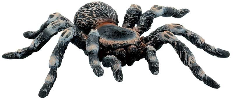 Bullyland - White Knee Tarantula 68457