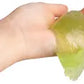 Capybara Pick N Pop Putty