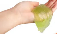 Capybara Pick N Pop Putty