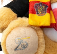 Care Bears 30cm Plush - Care Bears x Harry Potter - Magic -