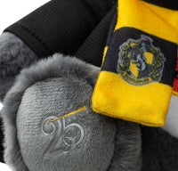 Care Bears 30cm Plush - Harry Potter 2pk