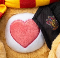 Care Bears 30cm Plush - Harry Potter 2pk