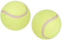 Centre Court Tennis Ball