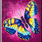change-30x30cm-paint-by-numb3rs-kit