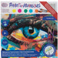 creative-eye-30x30cm-paint-by-numb3rs-kit