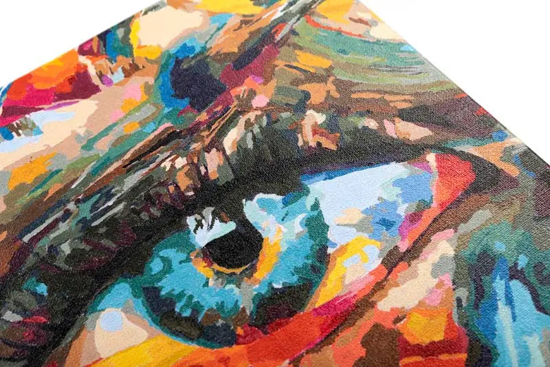creative-eye-30x30cm-paint-by-numb3rs-kit