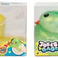 Dazzling Ducks Assorted