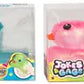 Dazzling Ducks Assorted