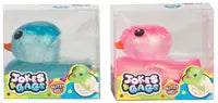 Dazzling Ducks Assorted