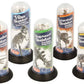 Dinosaur Skeletons Assorted