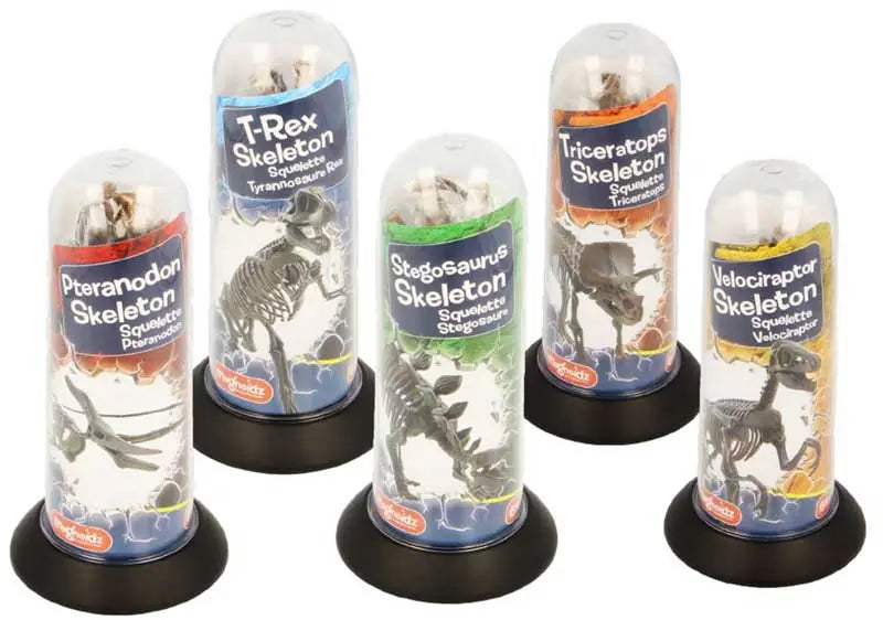 Dinosaur Skeletons Assorted