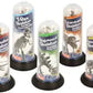 Dinosaur Skeletons Assorted