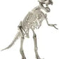 Dinosaur Skeletons Assorted