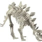 Dinosaur Skeletons Assorted