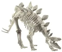 Dinosaur Skeletons Assorted