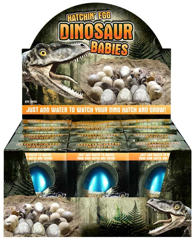 Egg Growing Dino 4 Cols 6 Assorted