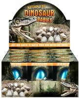 Egg Growing Dino 4 Cols 6 Assorted