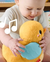 Fisher - Price 4 - In - 1 Flap & Follow Duck
