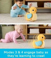 Fisher - Price 4 - In - 1 Flap & Follow Duck