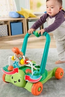 Fisher - Price Moves With You Activity Walker