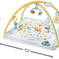 Fisher Price Sensimals Newborn Gym