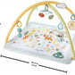 Fisher Price Sensimals Newborn Gym